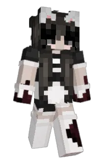 Front of S0_J's skin