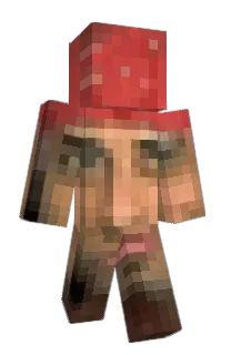 Front of Swiixal's skin