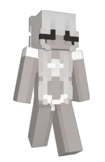 Front of iraeru's skin