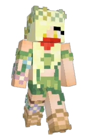 Skin preview