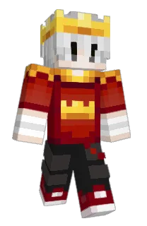 Front of Q14x's skin