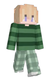 Front of ploari's skin
