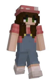 Front of sixxthirty's skin