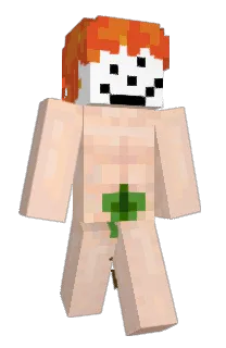 Coks's Minecraft skin