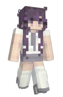 Front of raiscn's skin