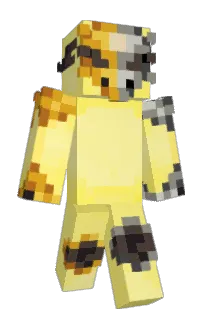 Front of Minecraft skin