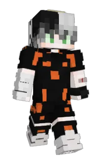 Front of Fl4sG4a_'s skin
