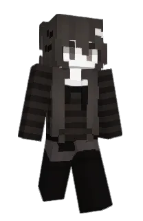 Front of iyvw's skin