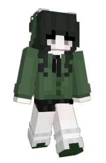Front of wonderfool's skin
