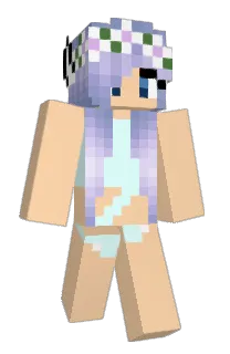 Front of Dl1b's skin