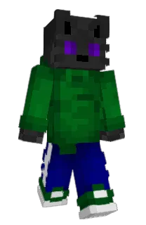Front of Firnet's skin