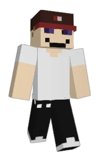 Front of Ailuriez's skin