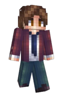 accelLv11 Minecraft avatar full body
