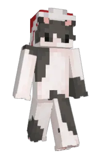 NotXr1s's Minecraft skin