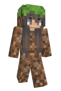 accompt Minecraft avatar full body