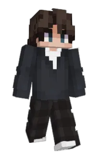 Front of LowSignalNetwork's skin
