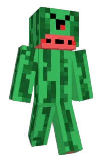 Front of nxxt_'s skin