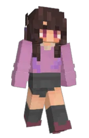 Skin preview