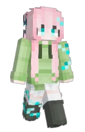 Skin preview