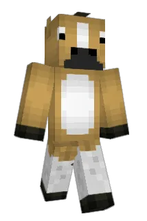 acentrial Minecraft avatar full body