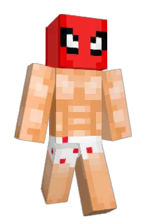 acepillo Minecraft avatar full body