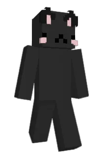 acestars182 Minecraft avatar full body