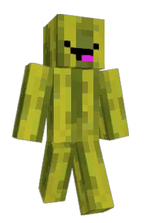 Front of Watermelon's skin