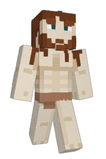 achartran Minecraft avatar full body