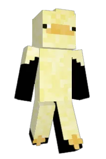 achytele Minecraft avatar full body