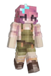 acidsquirrel Minecraft avatar full body
