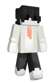 acooi Minecraft avatar full body