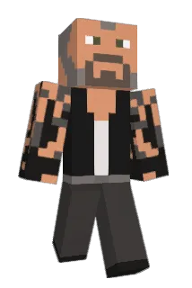 acorn12 Minecraft avatar full body