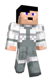 activ_P_nes Minecraft avatar full body