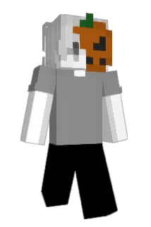 acuumi Minecraft avatar full body