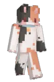 acvhi Minecraft avatar full body
