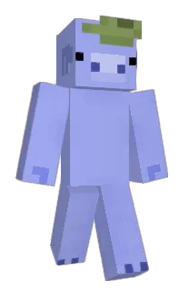 Front of DomeQdev's skin