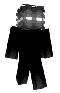 Front of Paltero's skin
