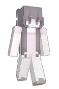 simulation