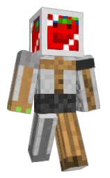 white and mercury Minecraft skin — Classic model — first worn by wizard51012