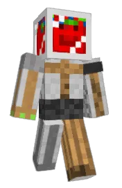 Skin preview