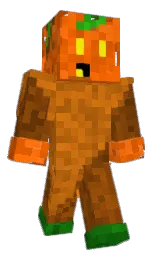 Minecraft skin — Classic model