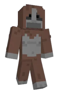 Front of VelocityPanda's skin