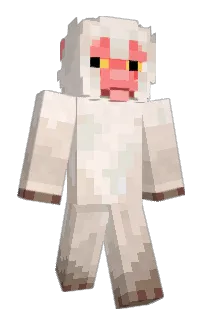 Front of Minecraft skin