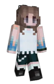 Skin preview