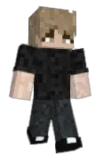 lxstik