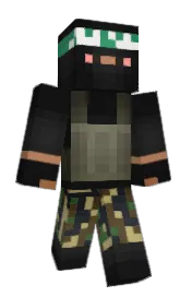 Skin preview