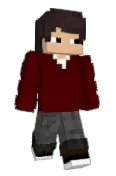 blinkerZ_