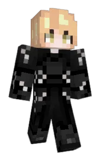 Front of conexion's skin