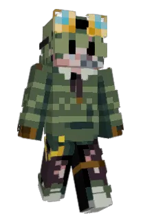Front of hivernix's skin