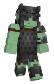 Skin preview